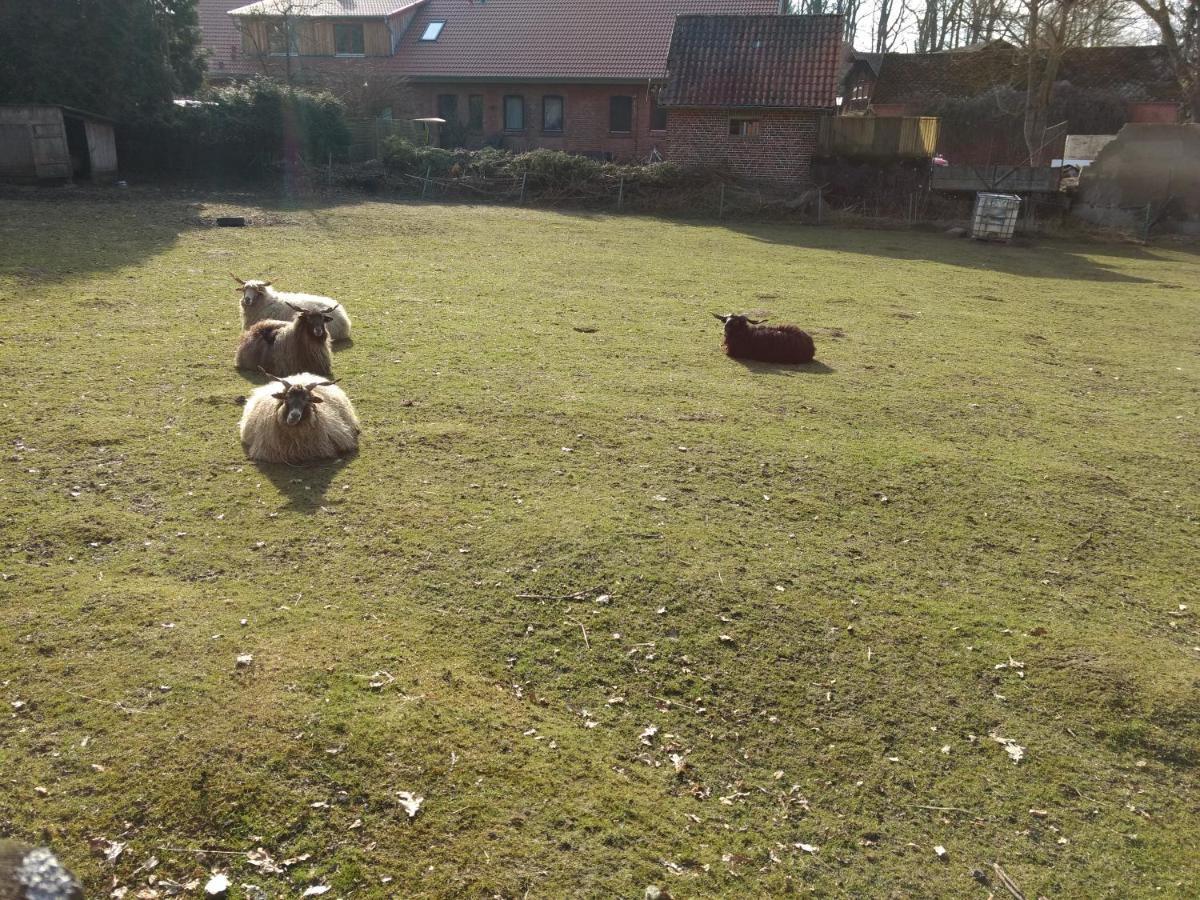 Fewo Haus Patze Betzendorf Buitenkant foto