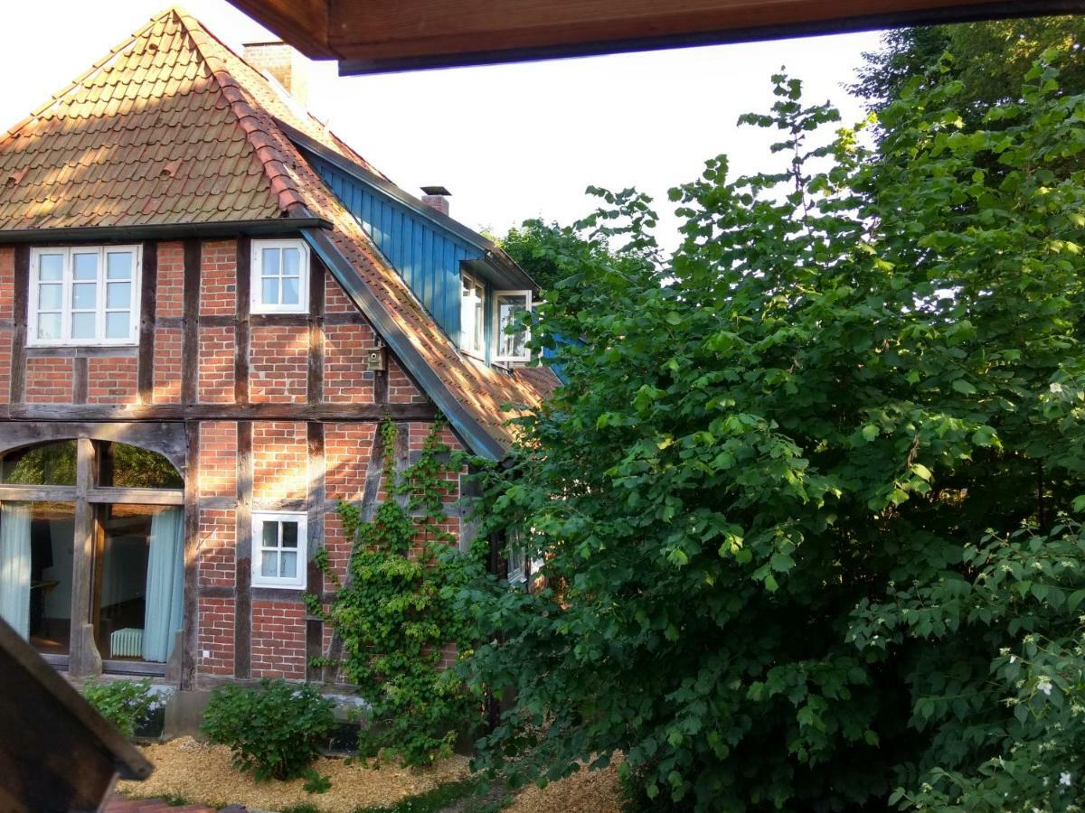 Fewo Haus Patze Betzendorf Buitenkant foto